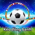 Hãy bỏ túi những kinh nghiệm bắt kèo đồng banh từ các cao thủ