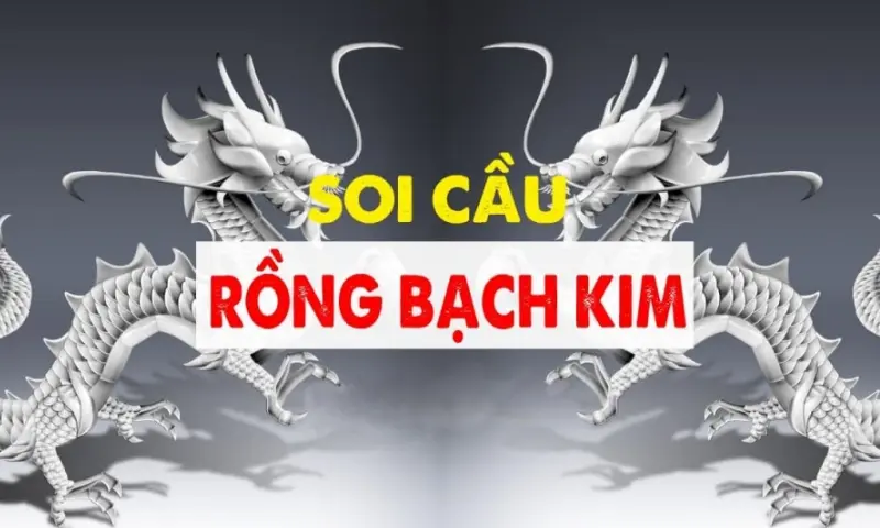 Tìm hiểu phương pháp soi cầu lô đề rồng bạch kim